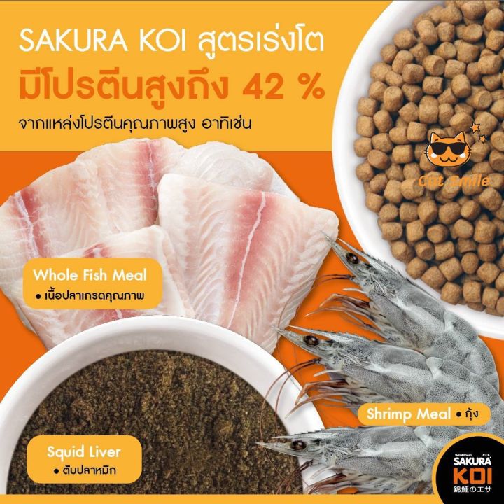 อาหารปลาคาร์ฟ-sakura-koi-1-25-kg-ถุงส้ม-เม็ดใหญ่-ไซส์-l-ซากุระโค่ย-koi-food-ถุงส้ม-ดำ-อาหารปลา-ปลาสวยงาม