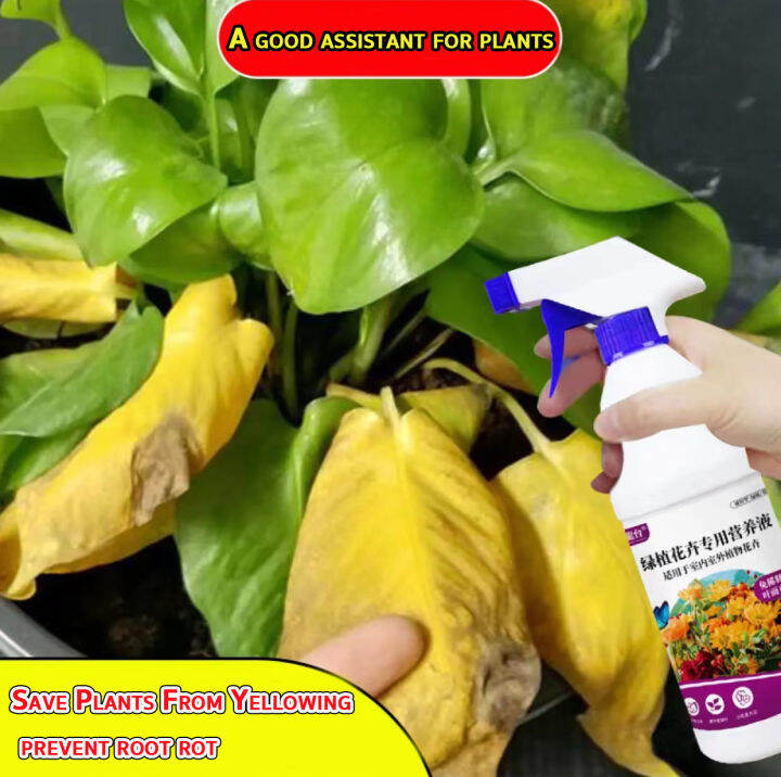 nutrients solution for plants500mlhydroponic nutrient solutionforfruit ...