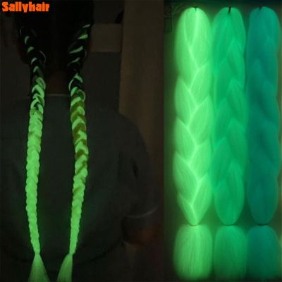 SallyHair Synthetic Braiding 24inch Braids hair In The Glowing Hair 100g