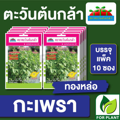 ผักซอง ตะวันต้นกล้า SP เมล็ดพันธุ์ พันธุ์ผัก กะเพรา ทองหล่อ บรรจุแพคล่ะ 10 ซอง ราคา 64 บาท