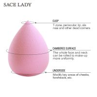 SACE LADY ฟองน้ำไข่แต่งหน้า สำหรับเกลี่ยลงรองพื้น