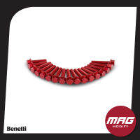 น็อตยึดเครื่อง ชุดแต่ง เบเนลลี่ Benelli TNT25 สีแดง