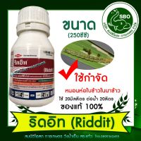 ริดอิท ขนาด 250 ซีซี