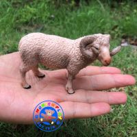 Munich Play - โมเดลสัตว์ Sheep แกะ ขนาด 9.00 CM (จากหาดใหญ่)