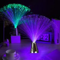 Multicolor LED Fiber Optic Lamp Light Interior Decoration Centerpiece Holiday Wedding Lamp LED Night Light Lamp Night Lights