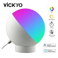 VICKYO LED Night Light Smart Timing WiFi Control Music Rhythm Word With Alexa Ambient Light For Bedroom Childrens Room Desk Lamp Night Lights