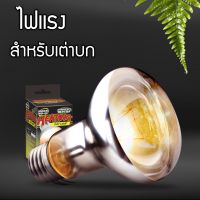 NomoyPet หลอดไฟUVA ไฟแรง หลอดไฟให้ความร้อน กลางวัน40w/60w