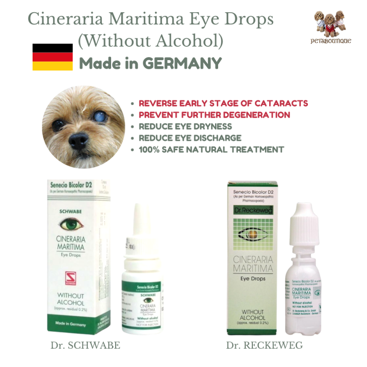Dr Reckeweg / Dr. Schwabe CINERARIA MARITIMA Eye Drop No Alcohol Safe