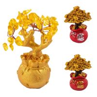 [hot]♝  Bonsai Money Shui