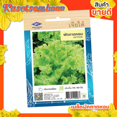 เมล็ดพันธุ์ผัก เมล็ดผักกาดหอม เจียไต๋ ( lettuce seed ) บรรจุ 960 เมล็ด/ซอง ขนาด 15 บาท ตรา เครื่องบิน