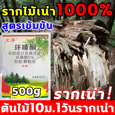 🍂1วันรากเน่า🍂 ยากำจัดต้นไม้ ยาฆ่าต้นไม้ใหญ สารกำจัดกอไผ่ 500g เม็ดเข้มข้น รากไม้เน่า1000% ยาฆ่าต้นไม้ 1ถุงฆ่าต้นไม้1000ต้นตาย แก้ได้ครั้งเดียว ไม่เป็นอันตรายต่อดิน ได้ผลเวลานาน ยากำจัดต้นไม้ ยาฆ่าตอไม้ ยาฆ่าตอต้นไม้ กำจัดต้นไม้ สารกำจัดต้นไม้ ยาฆ่าไผ่