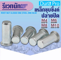 รีเวทนัท น็อตรีเวท ปลายปิด รีเวทนัทเหล็กชุบซิ้งค์ รีเวทนัทปลายปิด M4 M6 M8 M10  ( Rivet Nut Closed End Steel Zinc Blue ) โดย Dura Pro