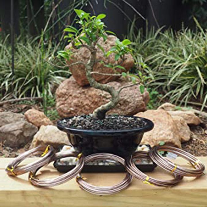 5-roll-tree-training-bonsai-wire-cutter-anodized-aluminum-wire-for-holding-bonsai-branches-small-trunks-brown
