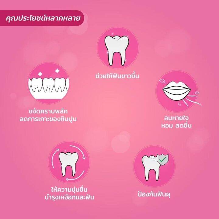 dr-ray-แปรงสีฟันรุ่น-portable-set-เหมาะสำหรับผู้หญิงตั้งครรภ์และเด็ก