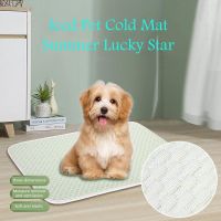 ▼☂❧ เบาะน้ำแข็งสัตว์เลี้ยง Summer Dog Multipurpose Pet Car Cushion เบาะผ้าไหมน้ำแข็ง เบาะสุนัขรังแมว เบาะโซฟา เบาะโซฟา