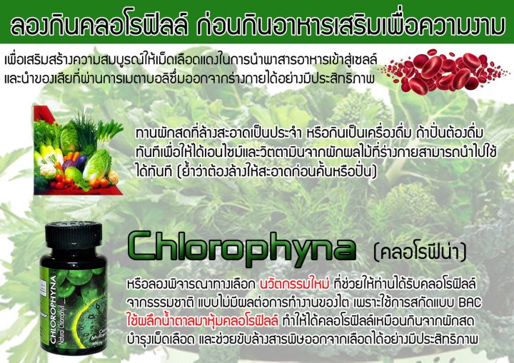 คลอโรฟิน่า-คลอโรฟิลล์-chlorophyna-อาหารเสริมดูแลระบบเลือด-เช่น-เรื่องโรคโลหิตจาง-แผลโรคกระเพราะลำไส้อักเสบ-บำรุงโลหิต