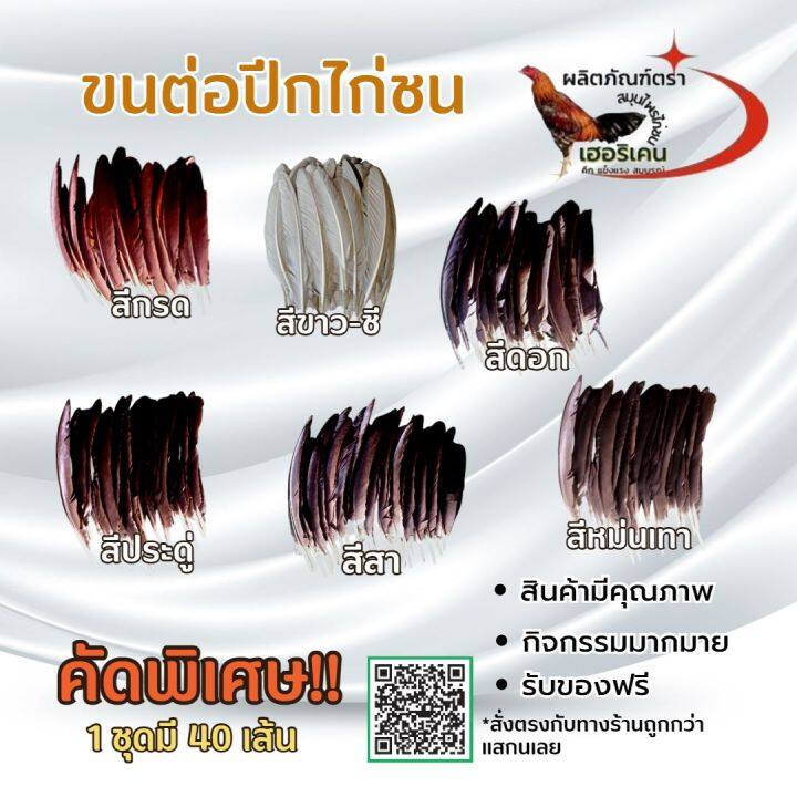 ปีกต่อไก่ชนไม่เปาะ-ปีกแข็งแรง-คัดพิเศษ-ขนต่อปีกไก่ชน-1ชุดมี-40เส้น-ขาว-สา-ดู่-กรด-หม่น-ดอก