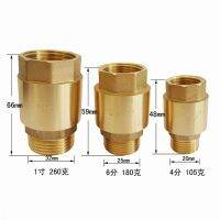 Brass 1/2 quot; 3/4 quot; 1 quot; Female x Male thread wire mouth vertical check valve non-return valve