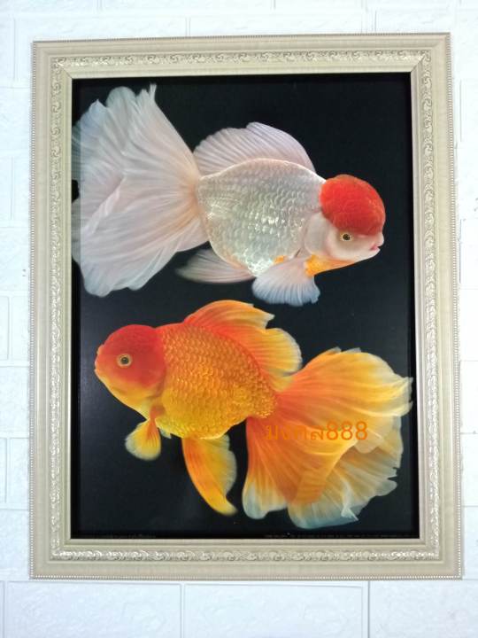 ภาพปลาเงิน-ปลาทอง-ขนาด-18x23-นิ้ว-พร้อมกรอบ-กรอบเรซิ่นพร้อมกระจก-ติดผนัง-ภาพมงคล