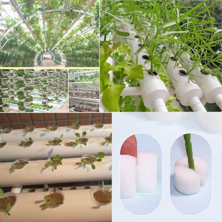 50pcs-hydroponic-soilless-mesh-net-basket-plant-veg-grow-nursery-cup-pot-sponge-tray-aeroponic-veg-planter-clone-colonization-q1