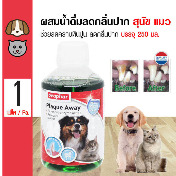 Beaphar Mouth Wash – The Veterinary Medicine