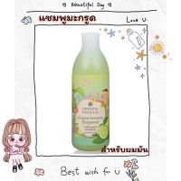 แชมพูทรีทเม้นท์ สำหรับผมมันTropical Nutrients Bergamot Treatment Shampoo Enriched Formula 250ml.สำหรับผมมัน สูตรปรับปรุงใหม่ ช่วยลดความมันส่วนเกินของเส้นผม