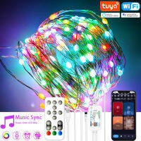 Tuya Wifi 50100 RGB Leds Christmas Holiday Fairy Light String RGBIC Addressable DIY Dream Color Decoration for Assistant