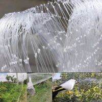 horticultural nets bird nets agricultural fences fish ponds bird nets anti defoliation gar Strengthen transparent orchards