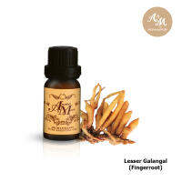 Aroma&amp;More  Lesser Galangal(Fingerroot) Essential Oil น้ำมันหอมระเหยกระชาย 100%, (Fresh) THAI  5/10/30/100ML