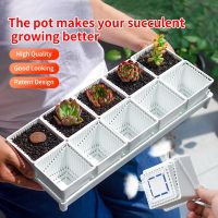 [hot]▧  Meshpot Pots Pack Seedlings Supplies Decoration