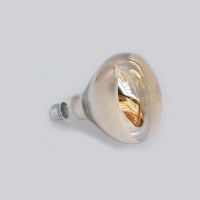 Infrared Physiotherapy Bulb 275W Baking Lamp Physiotherapy Bulb Home Infrared Lamp Heating Lamp Lamp Head Accessories