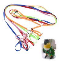 Portable New Parrot Bird Hamster Turtle Lizard Traction Rope Reins 8-shaped Pet Strap Leash C6UE Leashes