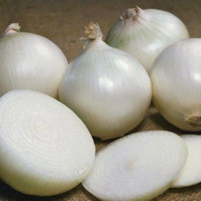 100 เมล็ด เมล็ดหอมหัวใหญ่ สายพันธุ์ หอมใหญ่ Octavia ของแท้ 100% อัตราการงอก 70-80% Onion Seed มีคู่มือปลูก