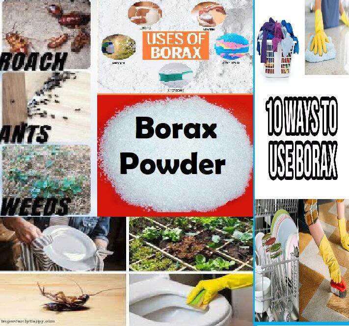 Borax Powder Cleaning Agent Toilet Cleaner Cleaner Laudry Ant Killer