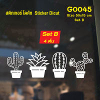 MP-M สติ๊กเกอร์ติดกระจก รูป กระบองเพชร Cactus 50 x 15 cm. 4 ต้น เซต B (G0045_SetB) สติกเกอร์ สติ๊กเกอร์ แต่งร้าน แต่งผนัง มั่นใจปริ้นท์