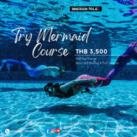 Try Mermaid Courses  คอร์สทดลองเรียนเมอเมท