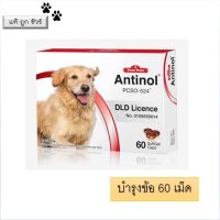 Antinol DOG 60 แคปซูล อาหารเสริมบำรุงข้อ ข้ออักเสบ 1 กล่องบรรจุ 60 เม็ด