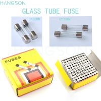 5*20 6*30 Glass Fuse 250V 0.1A 0.2A 0.5A 1A 2A 3A 3.15A 4A 5A 6A 7A 8A 10A 12A 15A 20A 30A Quick Blow Tube Fuses 5x20mm 6x30mm Electrical Circuitry Pa