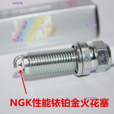 co0bh9 2023 High Quality 1pcs NGK Iridium Platinum Spark Plugs for Freeman 1.3T Guide