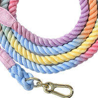 Handcrafted Dog Leash Multifunctional Double Head Braiding Dog Training Leash พร้อมอุปกรณ์เสริมสีทองสำหรับวิ่ง Mael-My