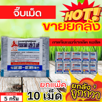 ? ?? สินค้ายกแพ็ค ?? จิ๊บเม็ด (กรดจิบเบอร์เรลลิคแอซิด) ขนาด 5กรัมx10เม็ด จิ๊บยืดยอด ยืดช่อ ยืดผล