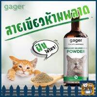 Gager - Catnip | Organic Silvervine Powder กัญชาแมว แคทนิป มาทาทาบิ แรงล้มช้างทั้งตัว ฟินไม่ไหว 8g