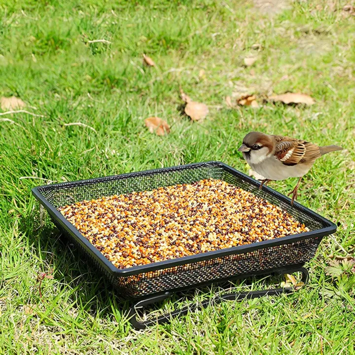Loviver Nampan Pemberi Makan Burung Tanah, untuk Memberi Makan Burung Di Luar Ruangan Taman Halaman Belakang | Lazada Indonesia