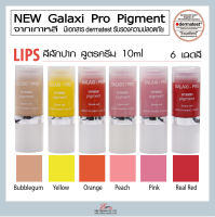 พร้อมส่ง สีสัก สีสักปาก แบรนด์ New Galaxi Pro Pigment ชนิด Micro Pigment มีให้เลือก 6 เฉดสี ส่งไว