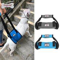 bonanzashop อุปกรณ์พยุงเดิน Dog Support harness สำหรับสัตว์ที่มีปัญหาการทรงตัว สุนัขแก่ ขาอ่อนแรง สองขาหลังพิการ เบาแรงในการพยุง Gift For You เพื่อคนสำหรับเช่นคุณโดยเฉพาะ