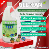 ปุ๋ยน้ำอะมิโนพลัสสาหร่าย1000ML. รากเดินดี เพิ่มดอก ผลดก แตกตายอด ALL GAN ธรรมชาติOrganic100% ใช้ปริมาณน้อยลดต้นทุน