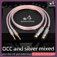 ATAUDIO OCC และ Silver Hifi Dual TRS 6.35มม. ไปยัง Dual 3 Pin สายสมดุล XLR 6.5มม. เป็น XLR Hi-End