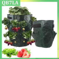 5 7 10 Gallon PE Strawberry Planter Grow Bags Potato Pot Gardening Pots Flower Veg Tomato Planting Tools Container QB7LA Shop