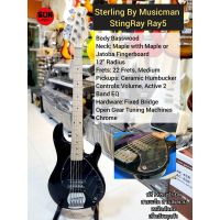 กีตาร์เบส Sterling Sting Ray Ray 5 สาย By MusicMan