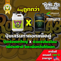 ปุ๋ยเร่งดอกใหญ่ Big Bud  ปุ๋ยเร่งดอกใหญ่ และ Terpinator ปุ๋ยช่วยเร่งไตรโคม เพิ่มรสชาติ เพิ่มกลิ่นของดอก